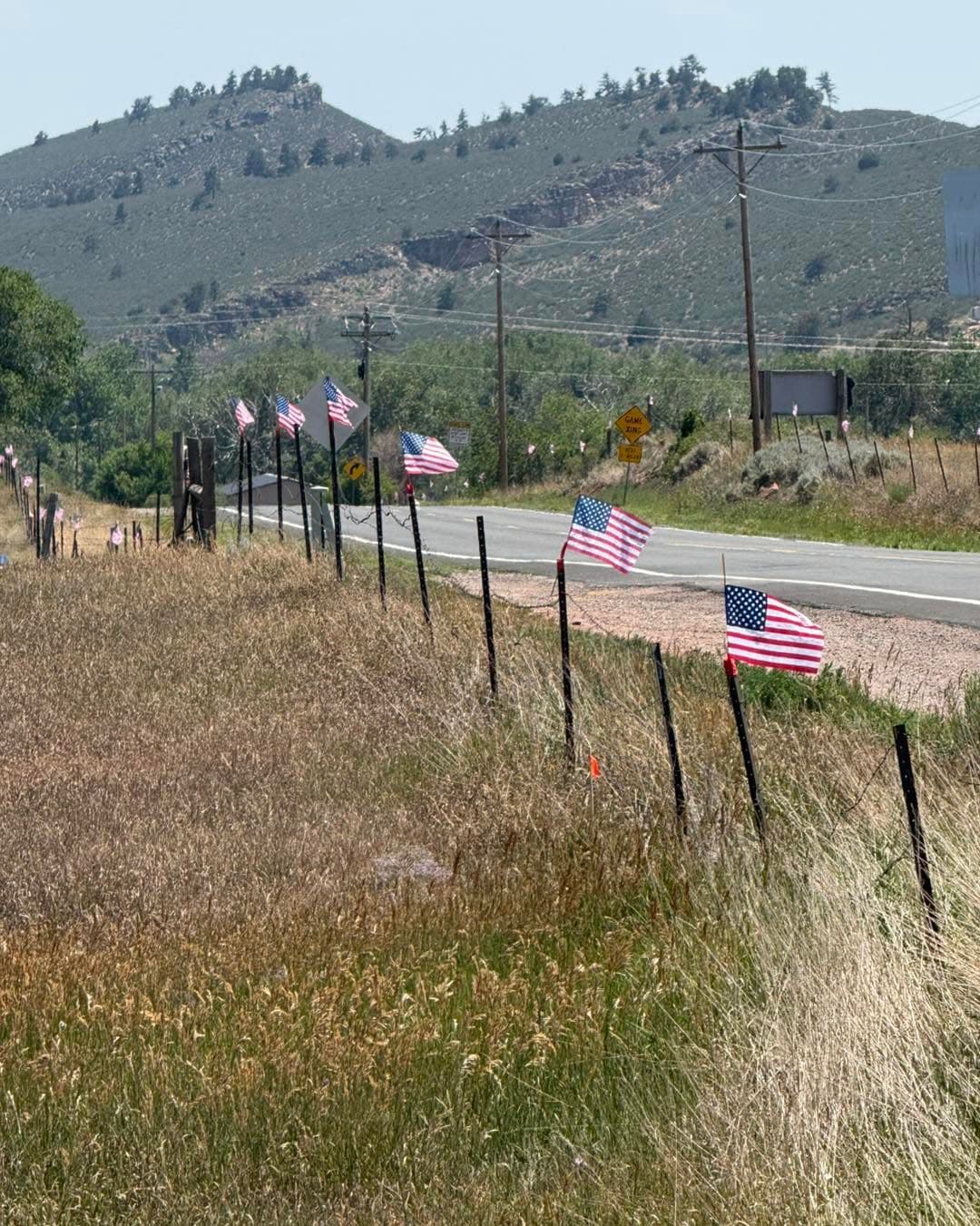 American flags along a mountain road